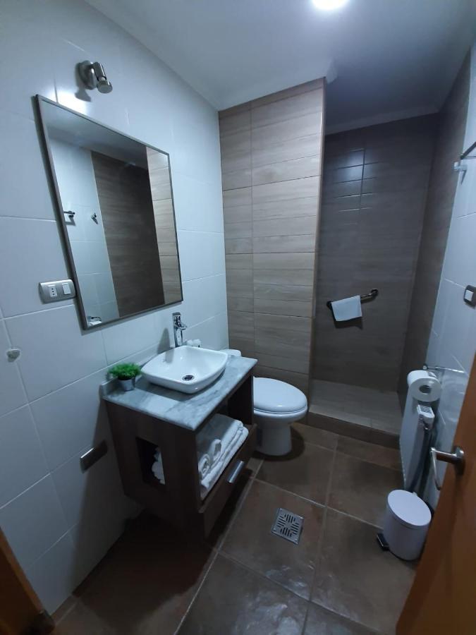 Costanera Apart チレチコ エクステリア 写真