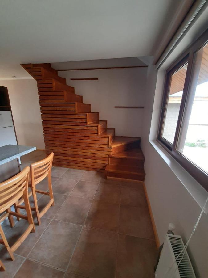 Costanera Apart チレチコ エクステリア 写真